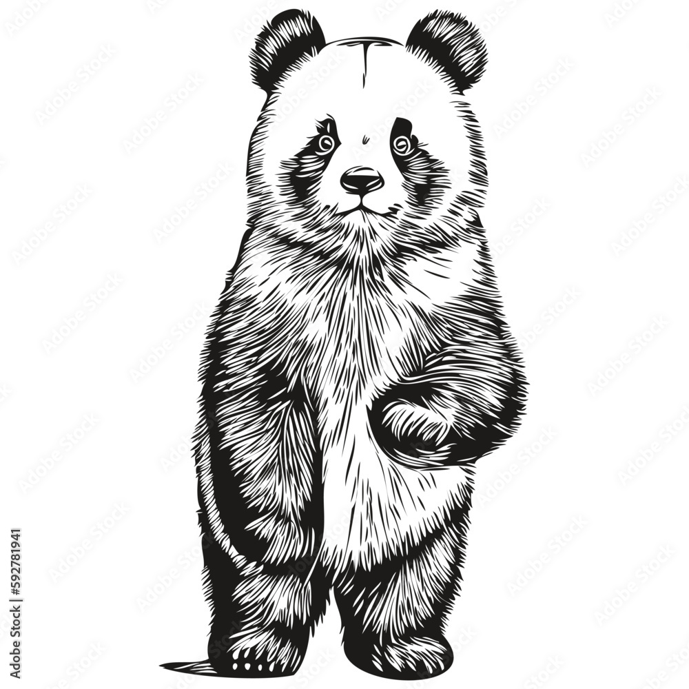 Rose Clipart Black And White Clipart Panda Free