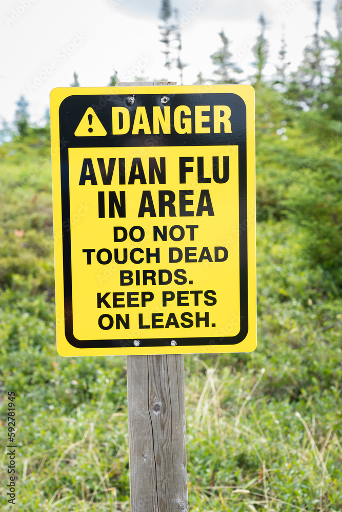 Bird flu and Avian flu awareness sign posted at a popular tourist destination along the Skerwink Hiking Trail.