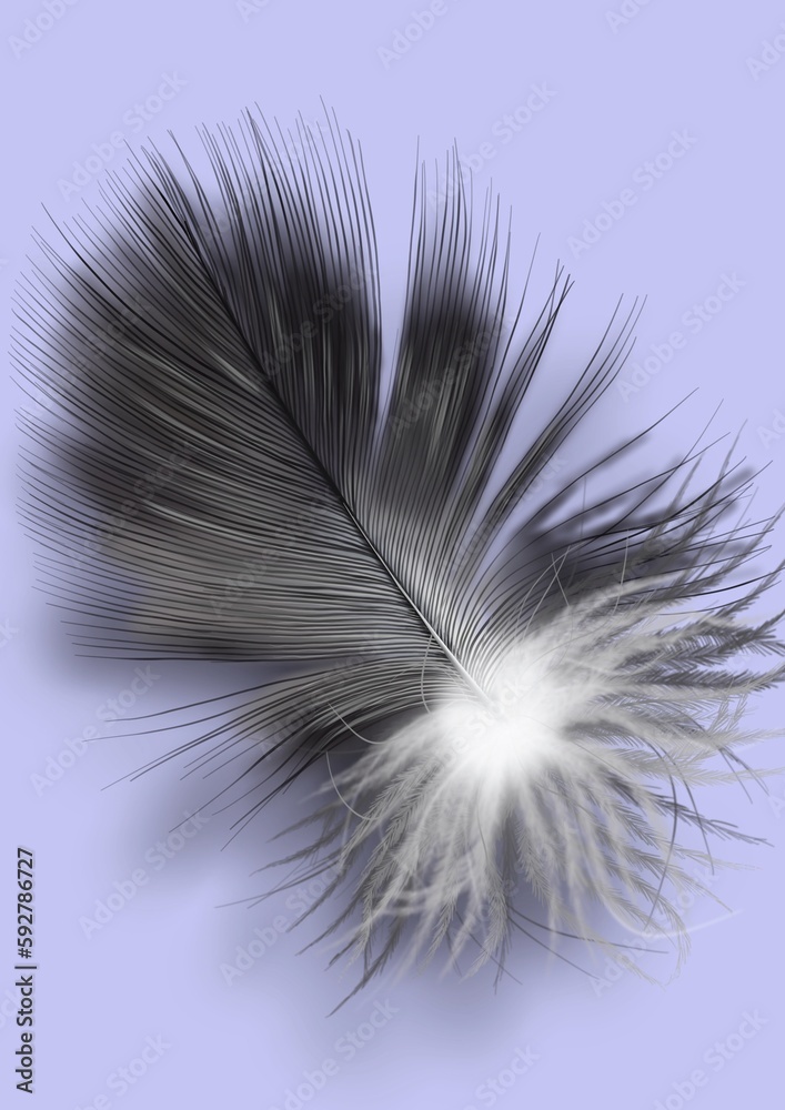 Obraz premium Feather, drawing of a beautiful feather with a colored background, hand drawn illustration.