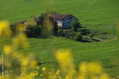 Cascinale nel verde  di Montecastello - Alessandria photo