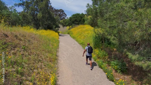 An African American man hiking wearing a backpack surrounded by lush green trees, grass and plants at Kenneth Hahn State Recreation Area in Los Angeles California USA photo