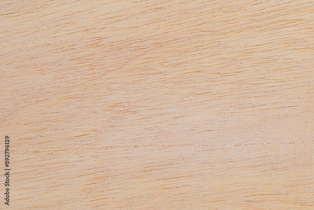 Light rough textured cut surface of an African tree. Wood background or blank for design Light rough textured cut surface of an African tree. Wood background or blank for design
