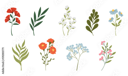 Set of different wild flowers vector flat illustration. Set of decorative floral design elements.