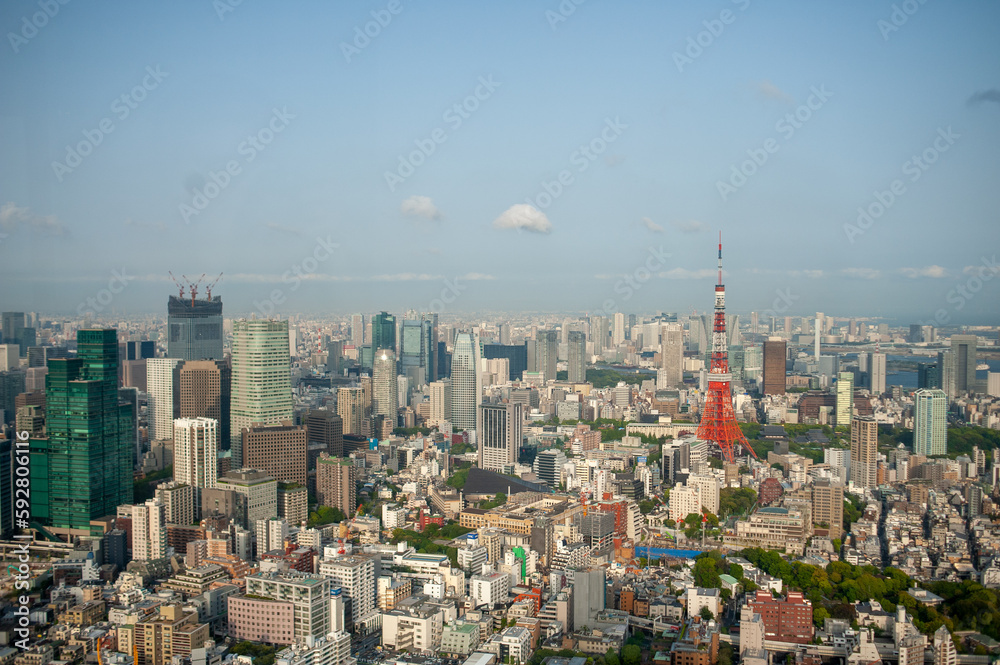 Naklejka premium Tokyo city view