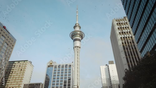 Wallpaper Mural Aerial: Low angle shot of Auckland Sky tower, New Zealand Torontodigital.ca