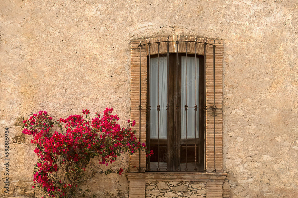 Rustic Mexican window with red Bougainvillea flowers
