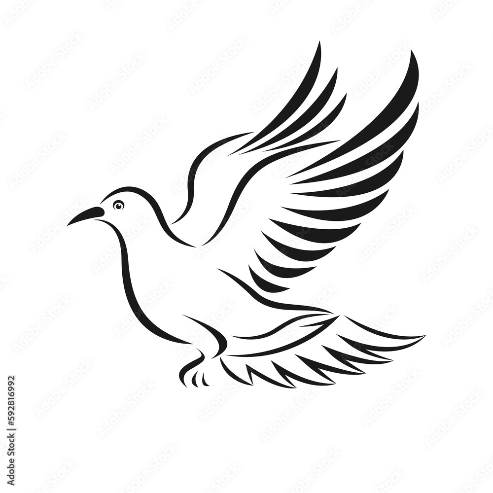 A pigeons are flying isolated on transparent background. Birds. Animals. A pigeons are flying isolated on transparent background. Birds. Animals.
