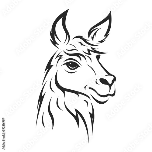 A llama head design isolated on transparent background. Wild Animals.