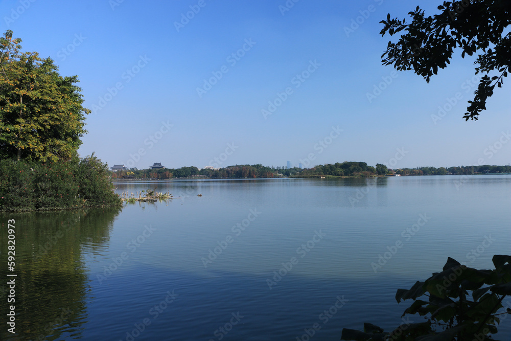 Obraz premium reflection of trees on the lake