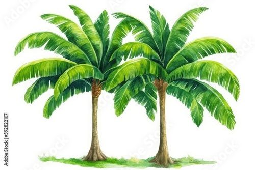 three palm trees with lush green leaves against a blank white background. Generative AI