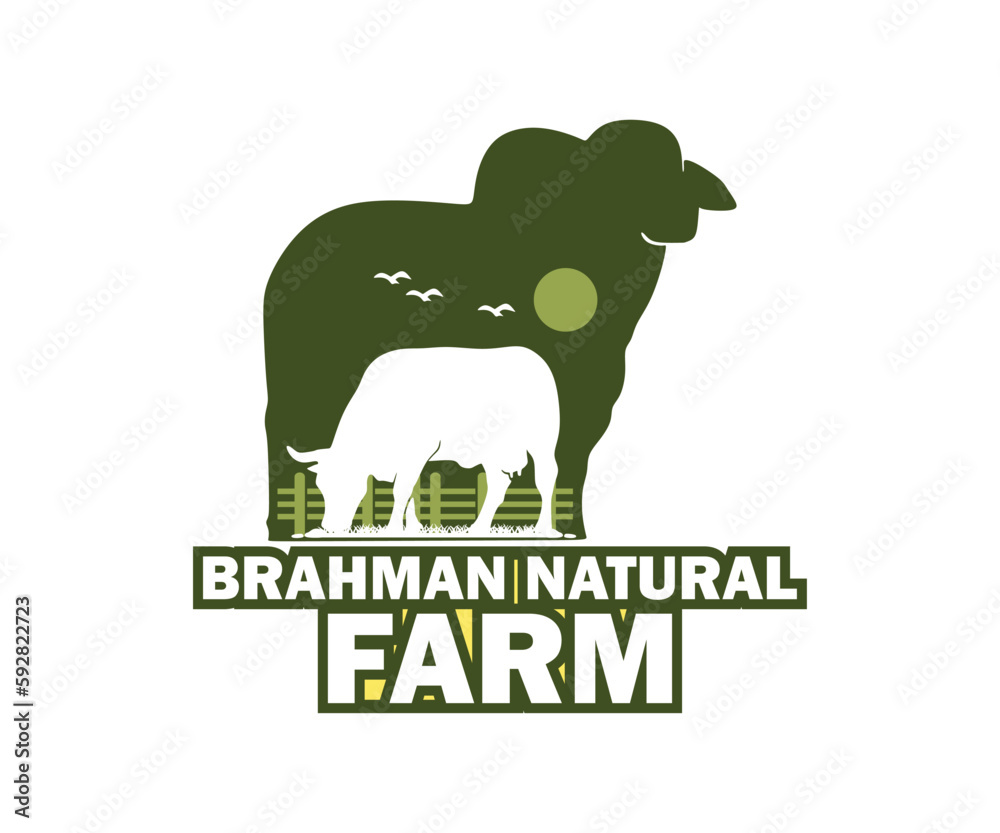 CATTLE FARM LOGO, silhouette of great brahman cattle standing and grassing vector illustration CATTLE FARM LOGO, silhouette of great brahman cattle standing and grassing vector illustration