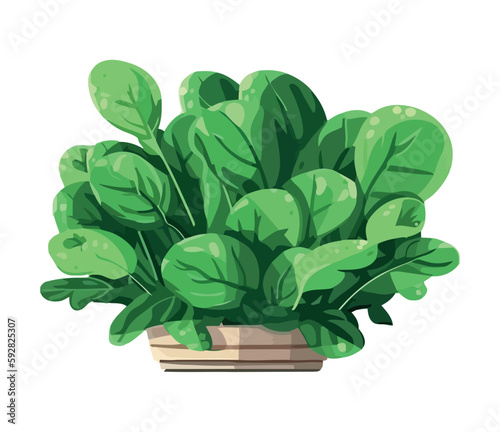 Green plant growth, fresh leaves