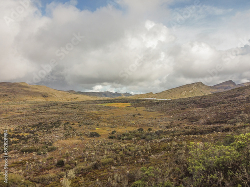 Paramo de Chingaza in Colombia, frailejones, espeletia grandiflora, endemic flowers of the paramo of south america, the lake of Siecha