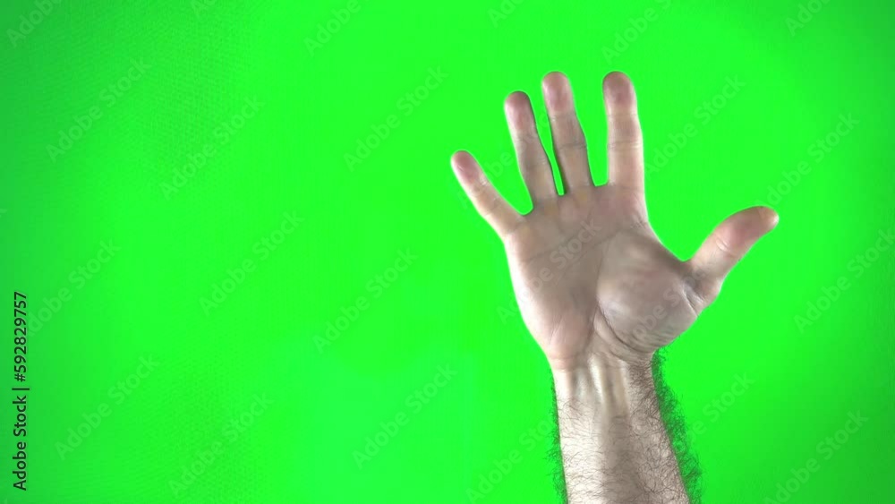 male hand palm forward on green background clench fist open hairy hand without clothes place for