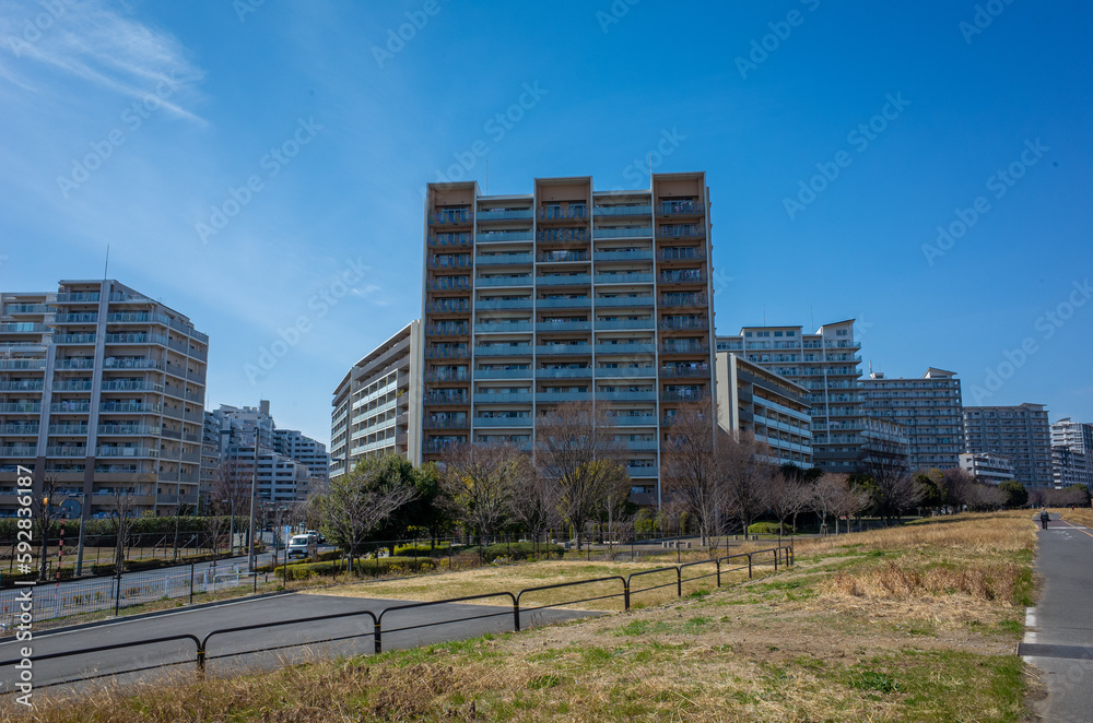 川口市の河川敷とタワマン 川口市の河川敷とタワマン