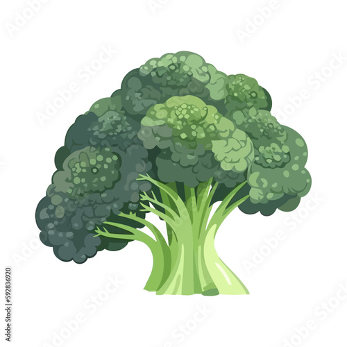 Green broccoli symbolize healthy dieting