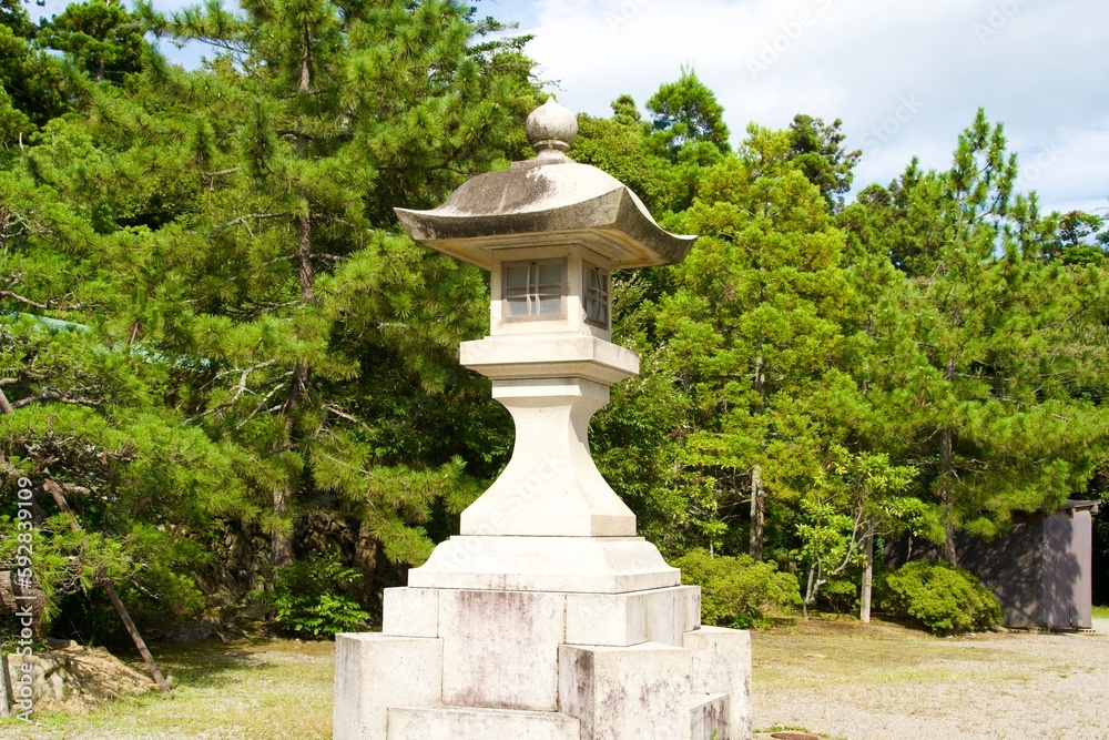 Japanese large stone lanterns and pine trees at Keta Grand Shrine.