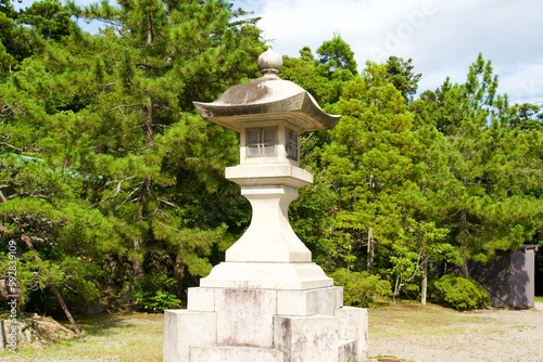 Japanese large stone lanterns and pine trees at Keta Grand Shrine.