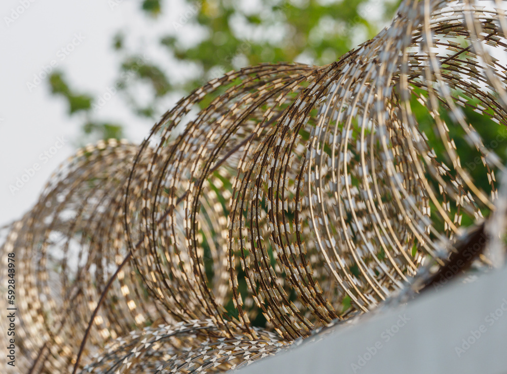 Obraz premium Barbed wire fences around the prison prevent prisoners from escaping.