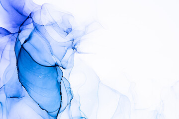 Marble ink abstract art from exquisite original painting for abstract background . Painting was painted on high quality paper texture to create smooth marble background pattern of ombre alcohol ink .