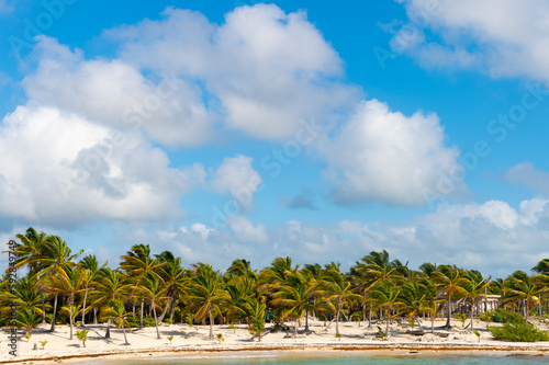 summer vacation at beach. summer vacation at paradise beach with palms. summer vacation