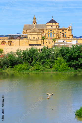 Travel in Spain- Cordoba city landscape in Andalusia