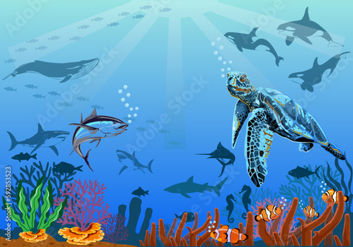 Underwater scene with coral reefs and exotic fish.vector hand drawn sea turtle life elements