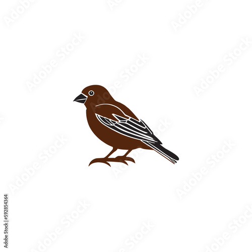  sparrow brown bird silhouette drawing illustration