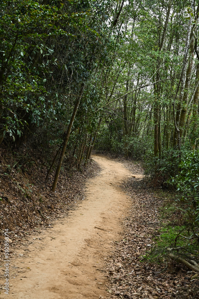 Path in Flaming Mountain in Miaoli County, Taiwan. Path in Flaming Mountain in Miaoli County, Taiwan.