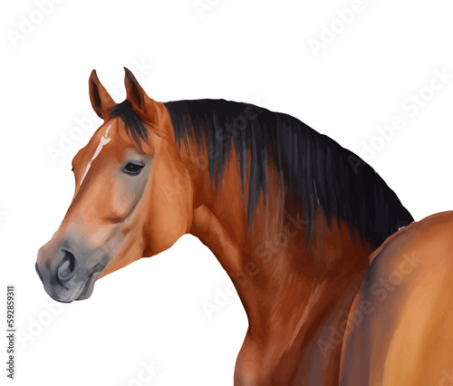 horse head with style hand drawn digital painting illustration