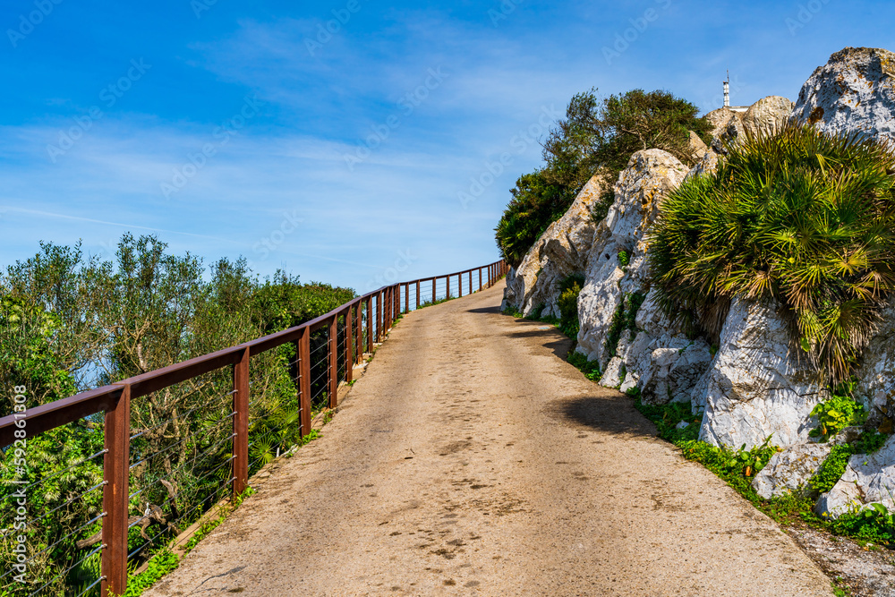 A path through Gibraltar Natural Reserve on the Upper Rock. UK