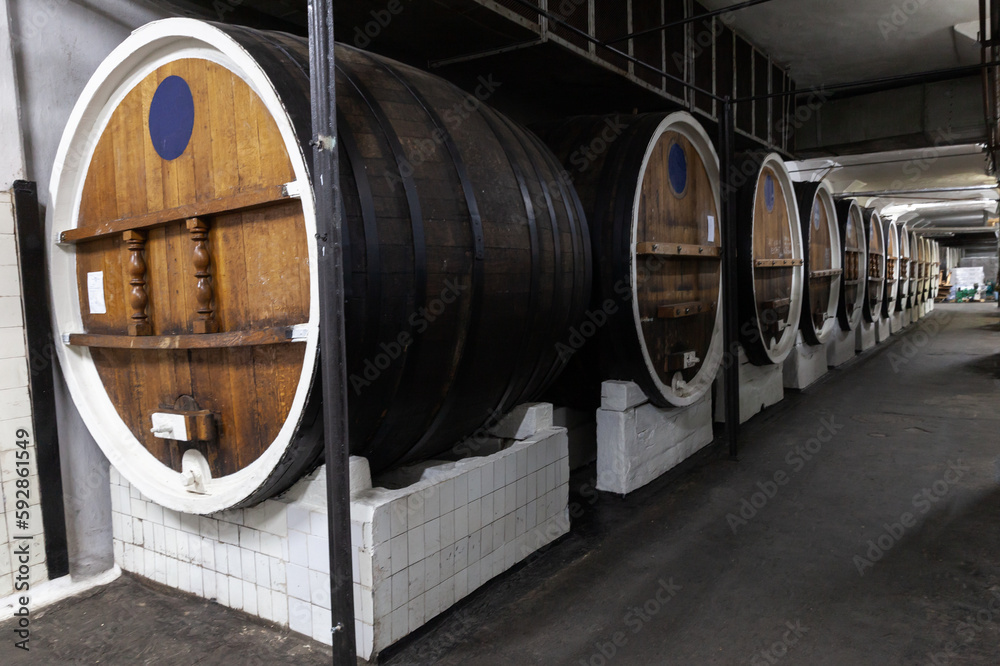Barrels made of oak wood are in a winery Barrels made of oak wood are in a winery