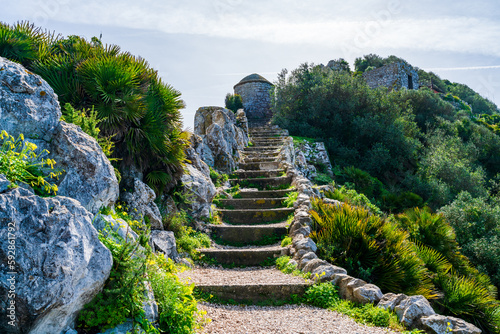Gibraltar Natural Reserve on the Upper Rock. UK
