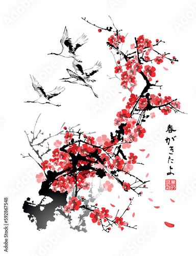 A flock of cranes on a background of cherry blossoms. Vector illustration in traditional oriental style. Text - "Spring came", "Perception of Beauty".