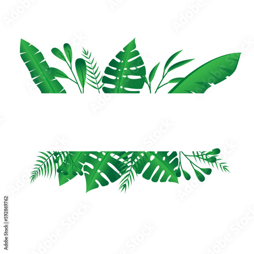 Vector floral frame Forest fern tropical leaf folliage