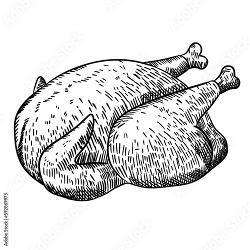 Roasted whole chicken hand drawn 
