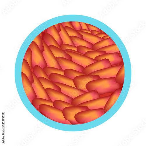 Gastritis Symptom Icon