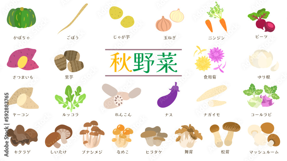 秋野菜のイラストセット。フラットなベクターイラスト。
Illustration set of Autumn vegetables. Flat designed vector illustrations.