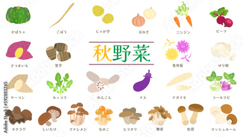秋野菜のイラストセット。フラットなベクターイラスト。
Illustration set of Autumn vegetables. Flat designed vector illustrations.