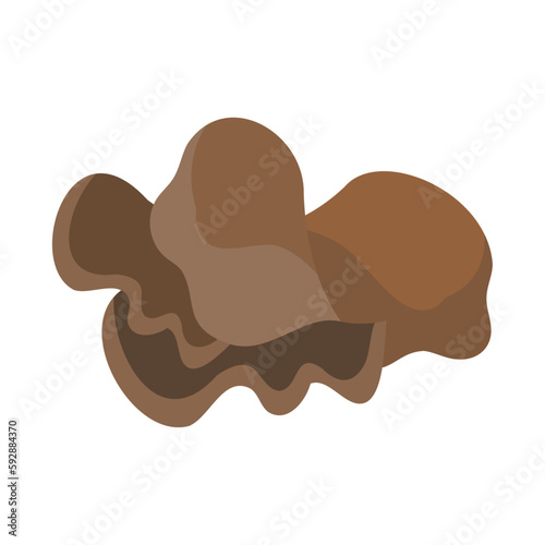キクラゲ。フラットなベクターイラスト。
Jew's Ear Fungus. Flat designed vector illustration.