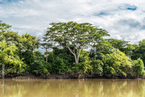 Blick vom River Tempisque zum Nationalpark Palo Verde Costa Rica photo