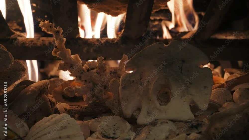 Relaxing fire in the fireplace Relaxing fire in the fireplace