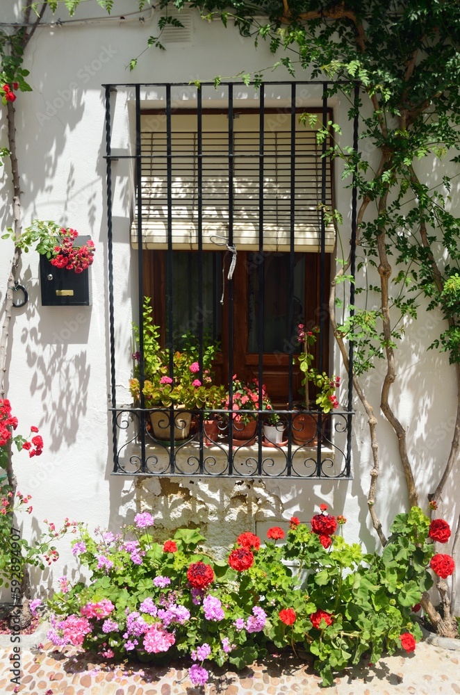 Ventana rodeada de flores en el Barrio de la Villa, Priego de Cordoba