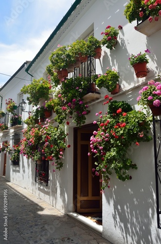 Fototapeta Naklejka Na Ścianę i Meble -  Calles estrechas con flores en el Barrio de la Villa, Priego de Cordoba