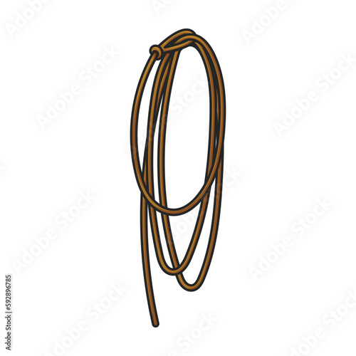 Lasso vector icon.Color vector icon isolated on white background lasso.