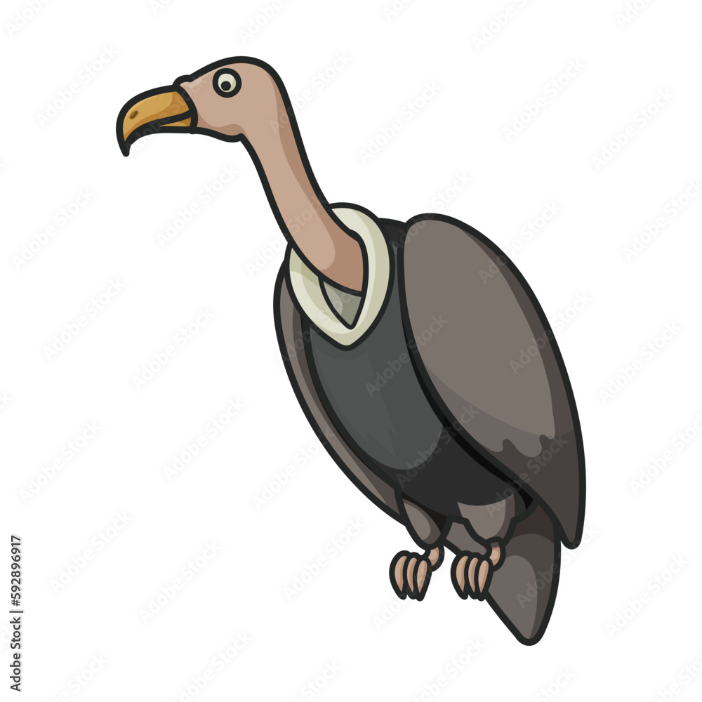 Obraz premium Vulture bird vector icon.Color vector icon isolated on white background vulture bird.