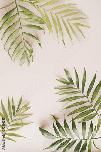 Palm leaves frame on a beige  background with copy space. top view. vintage toned.Botanical aesthetic poster