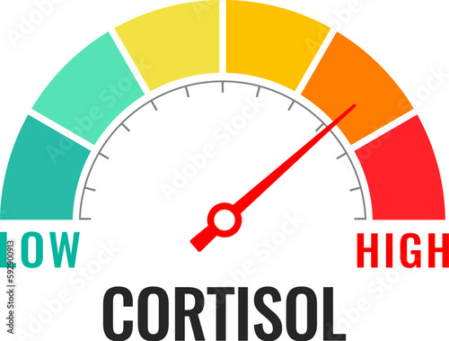 Cortisol lever meter, vector gauge with arrow