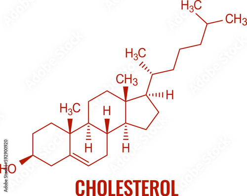 Cholesterol molecule, vector chemical formula