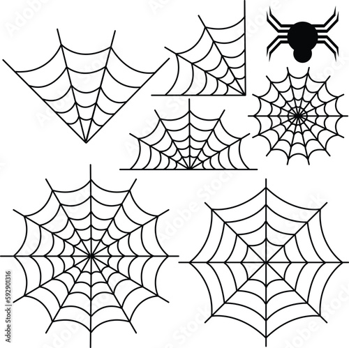 Spider web vector
